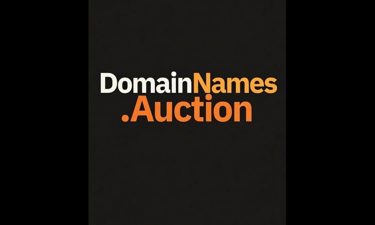DomainNames logo